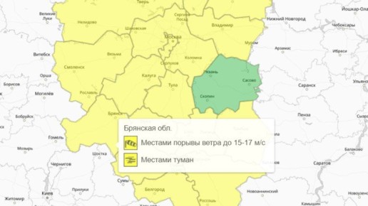 Туман и сильный ветер: на Брянщине продлили погодные предупреждения