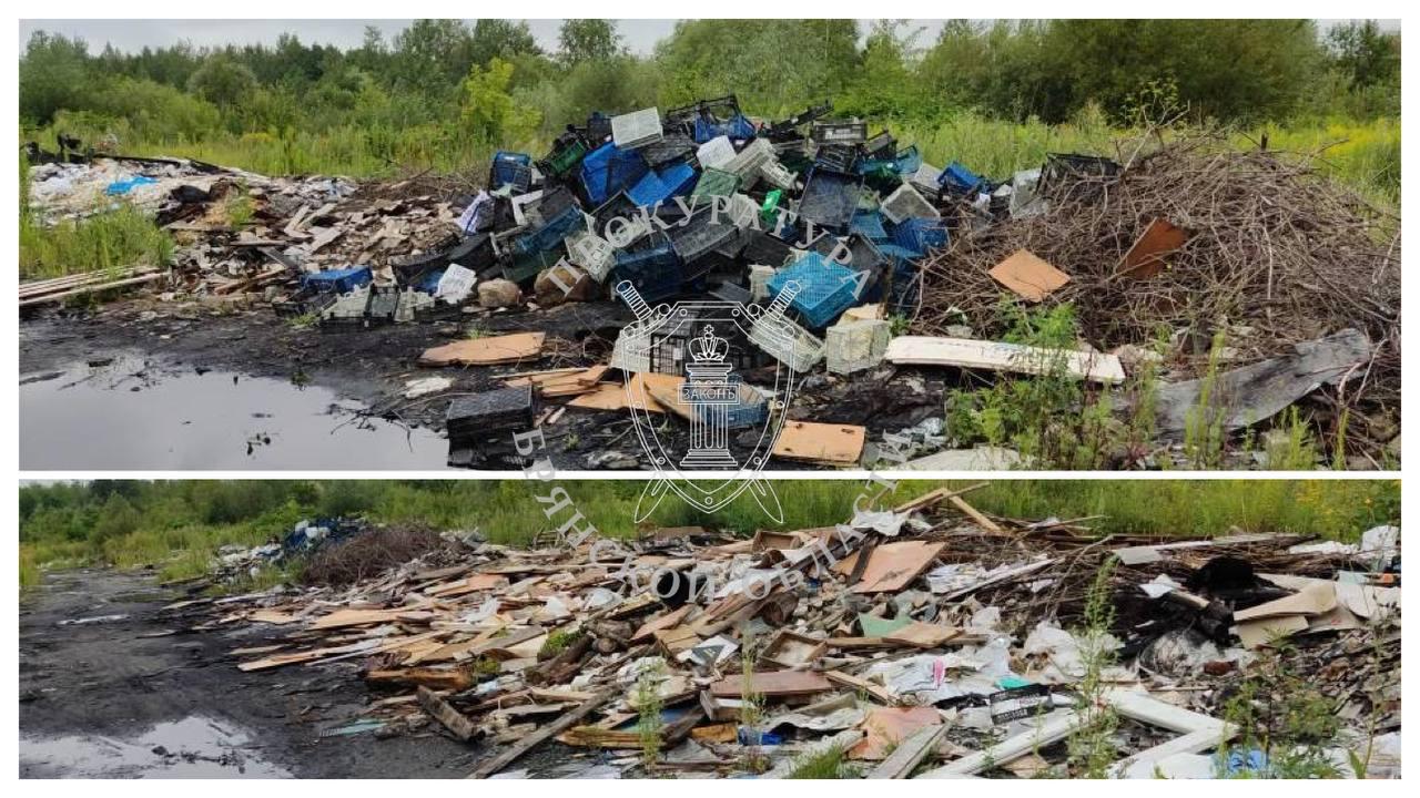 В Володарском районе Брянска уберут нелегальную свалку