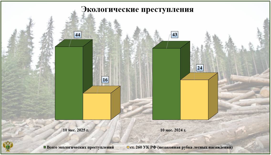 За 10 месяцев 2025 года зарегистрировано 44 экологических преступления