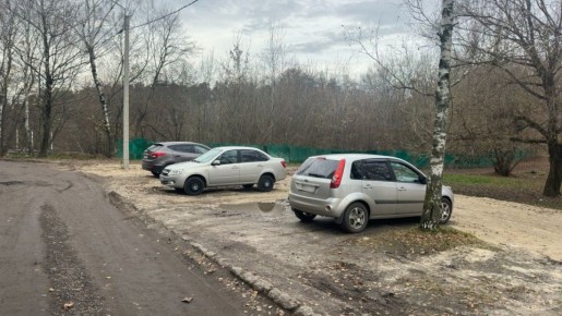 В Брянске автомобилисты превратили урочище "Лесные сараи" в "большую" парковку