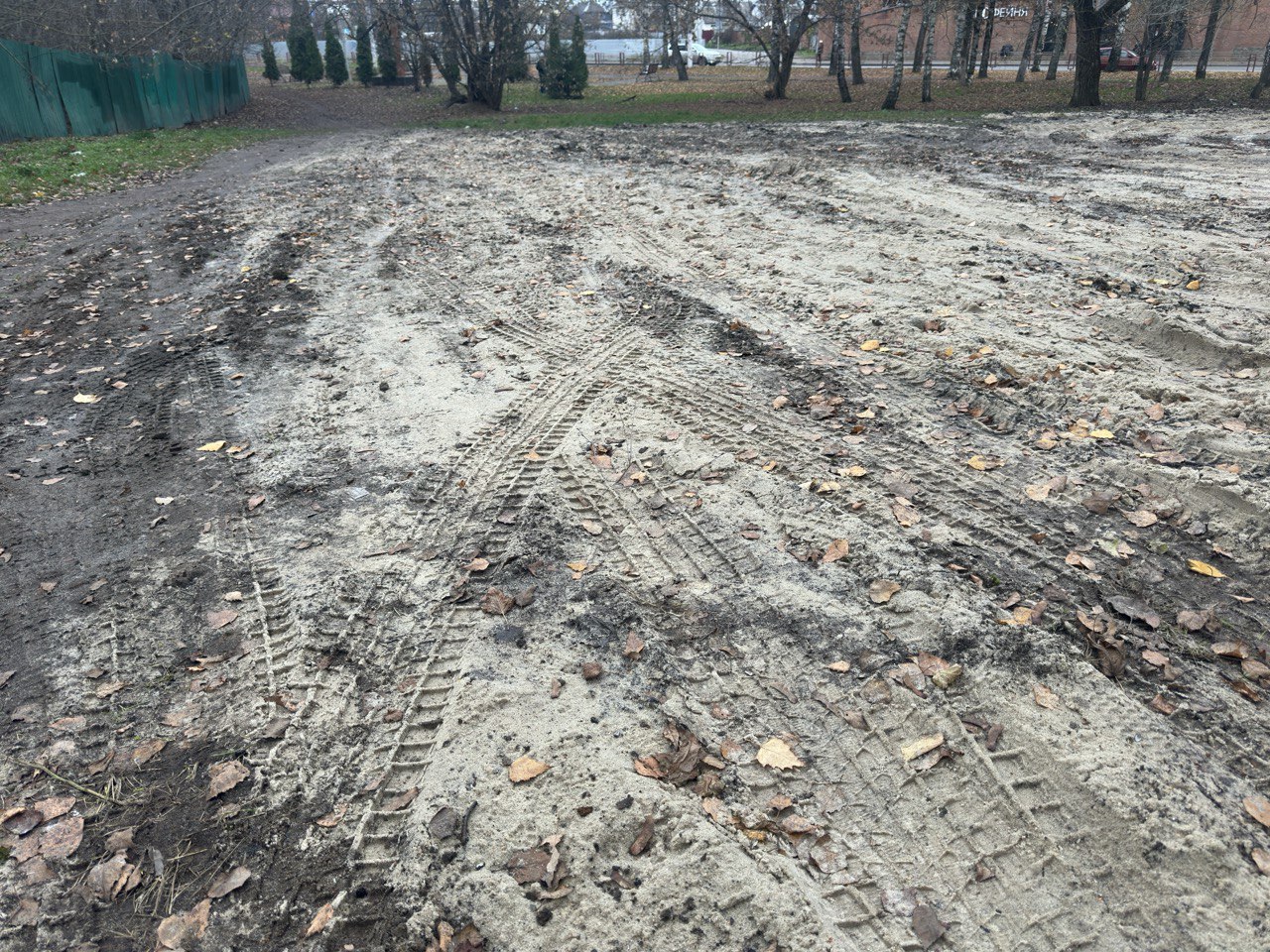 Защита экосистемы урочища «Лесные сараи»: борьба с несанкционированной парковкой Защита экосистемы урочища «Лесные сараи»: борьба с несанкционированной парковкой