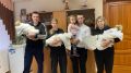 У многодетных родителей из Жуковки появилась тройня