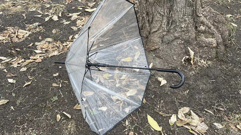 Брянцам 21 ноября пообещали 9-градусное тепло и мокрый снег