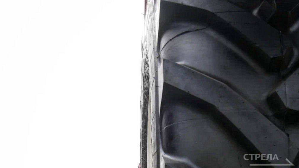 В регионе проводилась экологическая акция «Сдай шины – спаси бобра Брянщины!»