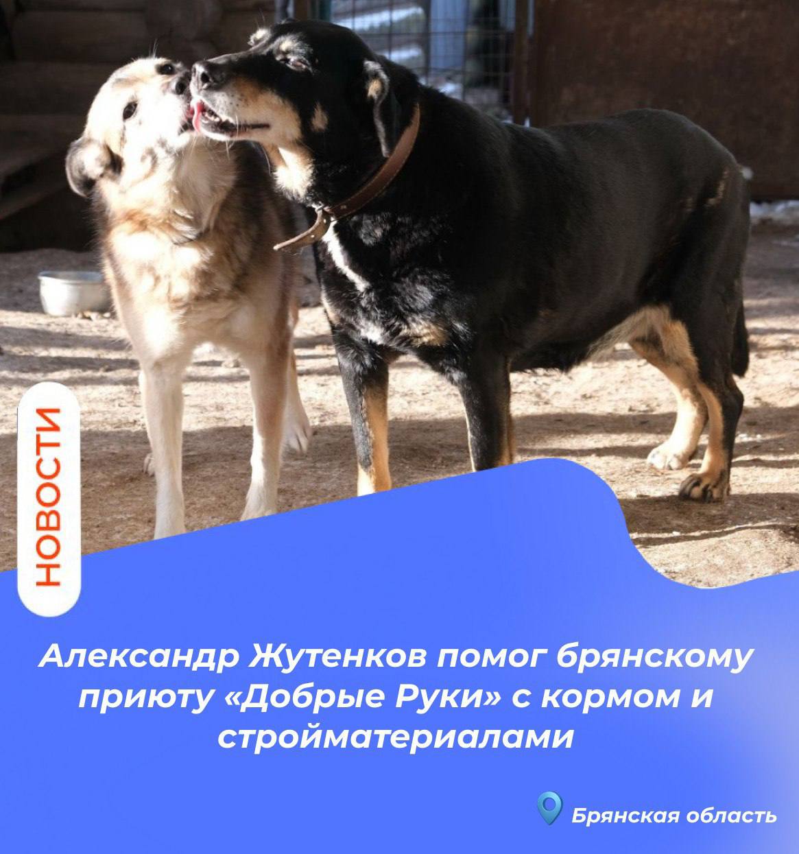 Александр Жутенков помог брянскому приюту «Добрые Руки» с кормом и стройматериалами Александр Жутенков помог брянскому приюту «Добрые Руки» с кормом и стройматериалами