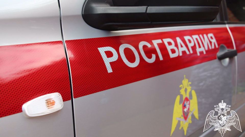 Росгвардия задержала 21-летнюю жительницу Брянска за кражу товара из магазина на Флотской