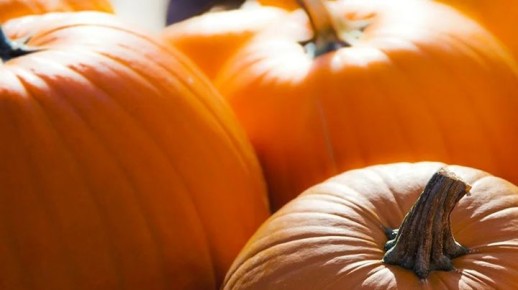 Как правильно хранить тыкву: простые советы для долгого сохранения