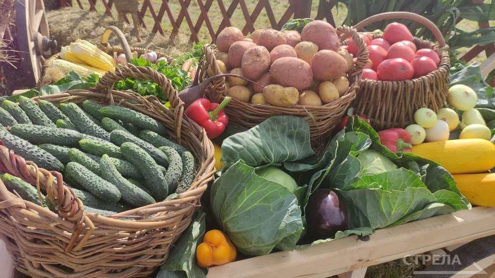 В Брянской области продолжают свою работу ярмарки выходного дня