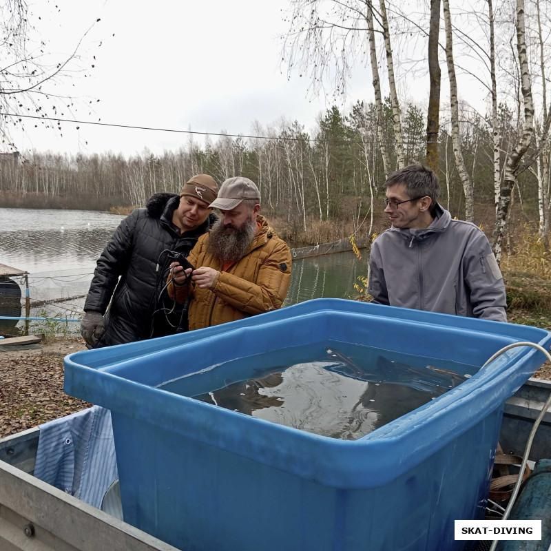 В Брянске выпустили осетров в городской водоём