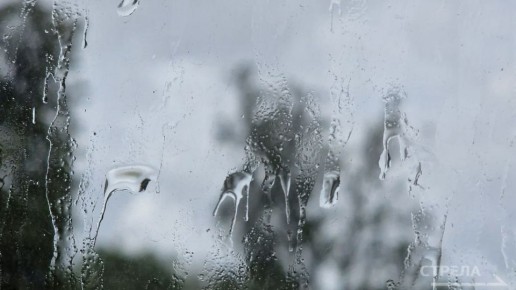 Завтра, 24 ноября, на территории Брянской области ожидается облачная погода, днем с прояснениями