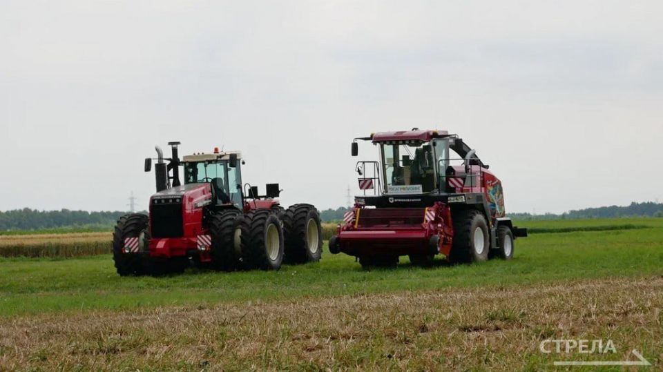 ��������� ����� ������ ��� ������� � V ������������ ������ ������������� ���� � 2025�