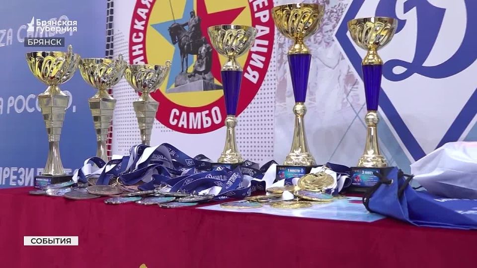 В память о героях. На всероссийские соревнования по самбо, посвящённые сотрудникам силовых структур, погибшим при выполнении служебных обязанностей, съехались около 250 юных спортсменов со всех уголков страны