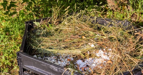 Минприроды РФ объясняет, почему растительные отходы не входят в категорию ТКО