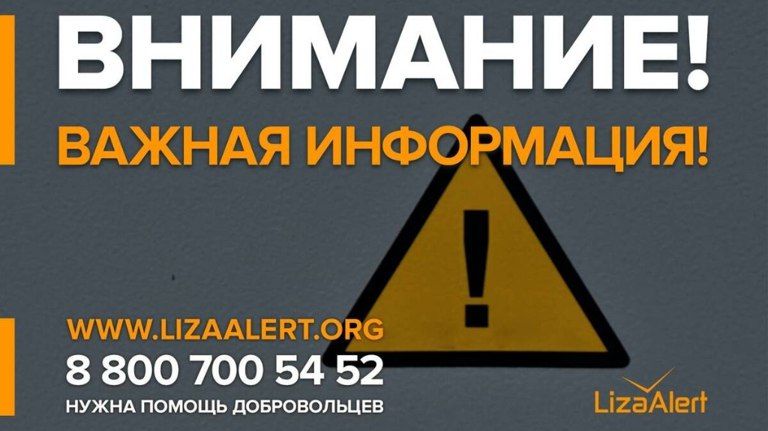 Брянцев предупредили о сбоя горячей линии поискового отряда «Лиза Алерт»