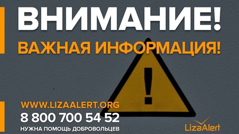 В Брянском поисковом отряде предупредили о временных сбоях горячей линии