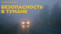 В Брянской области объявлен жёлтый уровень погодной опасности, который будет действовать до 21:00 26 ноября