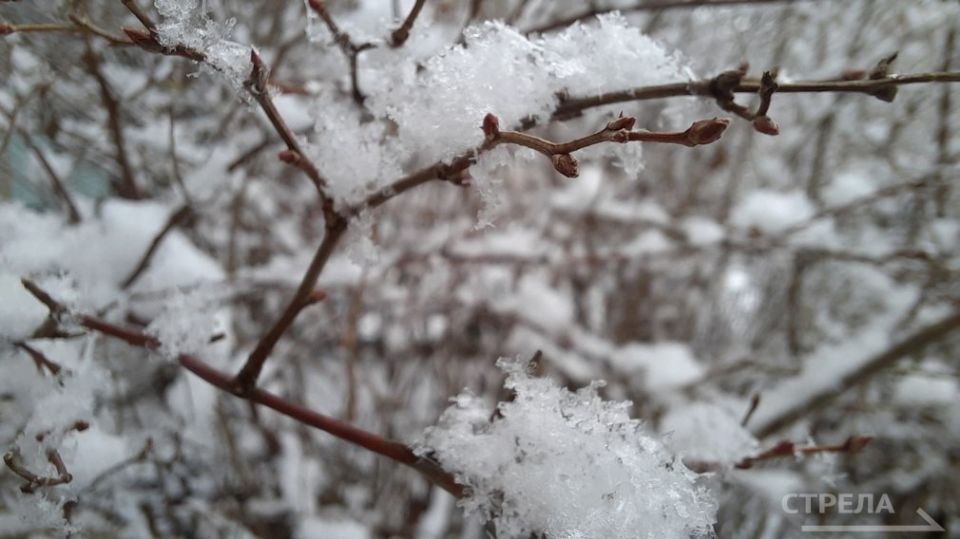 Завтра, 28 ноября, на территории Брянской области будет облачно