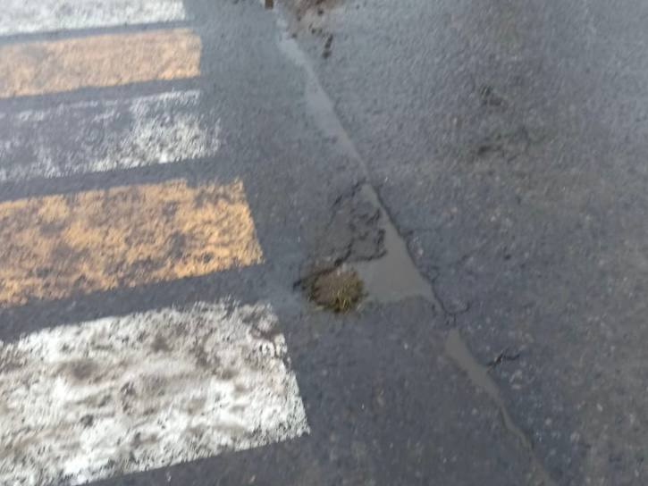 Обратная связь. Оперативно с места