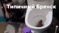 Плюс один к фобиям: из унитаза в Брянске вылезла крыса