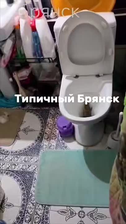 Обратная связь. Оперативно с места