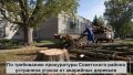Угроза от аварийных деревьев на территории местного диспансера устранена