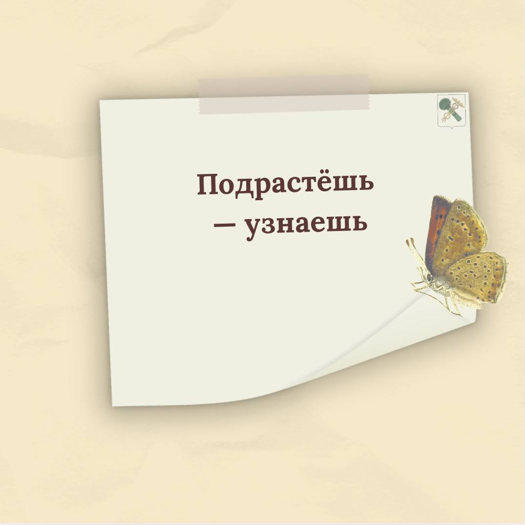 Дорогие наши мамы и бабушки! Примите самые тёплые поздравления с самым душевным и искренним праздником – Днём Матери! Дорогие наши мамы и бабушки! Примите самые тёплые поздравления с самым душевным и искренним праздником – Днём Матери!