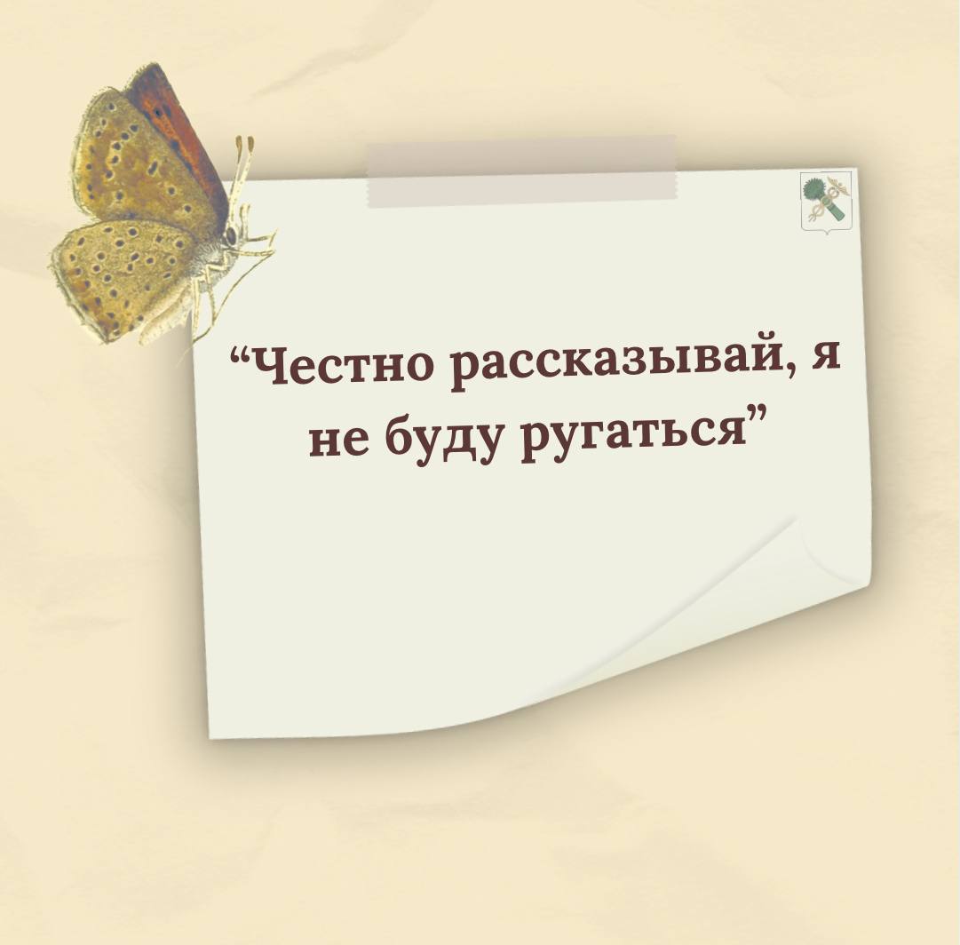 Дорогие наши мамы и бабушки! Примите самые тёплые поздравления с самым душевным и искренним праздником – Днём Матери! Дорогие наши мамы и бабушки! Примите самые тёплые поздравления с самым душевным и искренним праздником – Днём Матери!