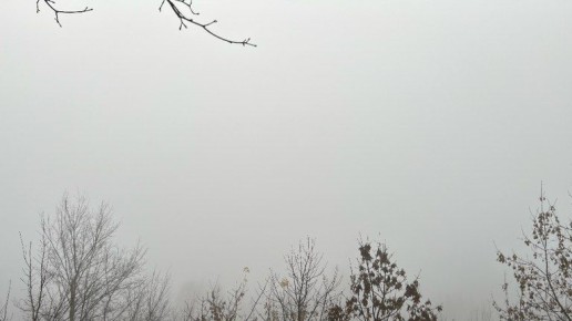 Сильный туман накроет в ночь на понедельник Брянск