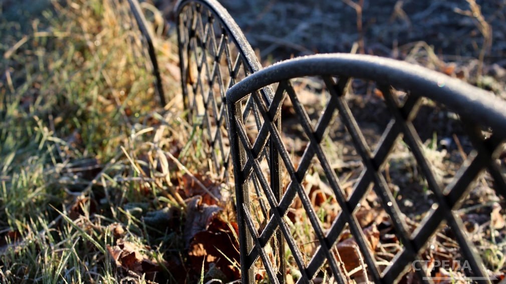 Брянцам пообещали туман и заморозки в понедельник