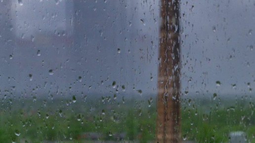 Зима на Брянщине начнётся с заморозков и дождя