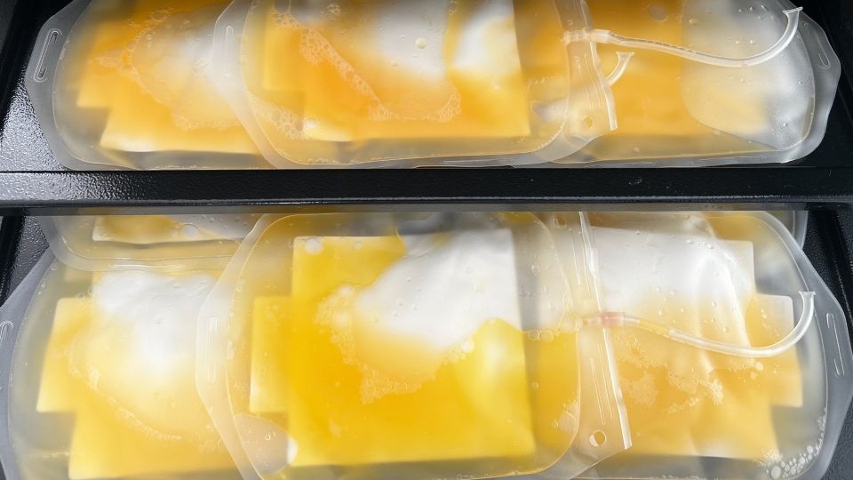 За пять дней в Брянске собрали более 700 участников и 507 литров крови