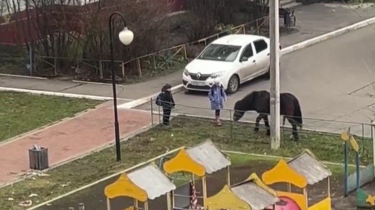 � ������� ���������� ������ �� ������� ��������������� ������������ �������