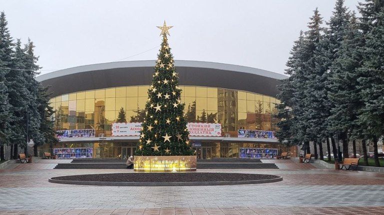 В Брянске впервые установили новогоднюю елку возле цирка