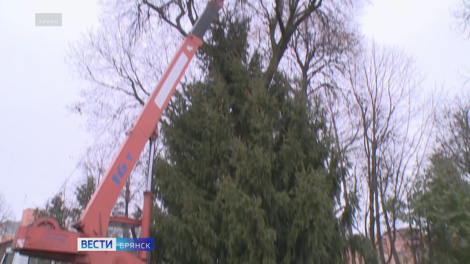 В сквере Карла Маркса Брянск 4 декабря установят главную городскую ель