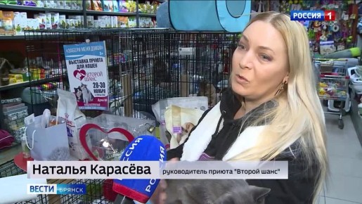 Международный день добровольца