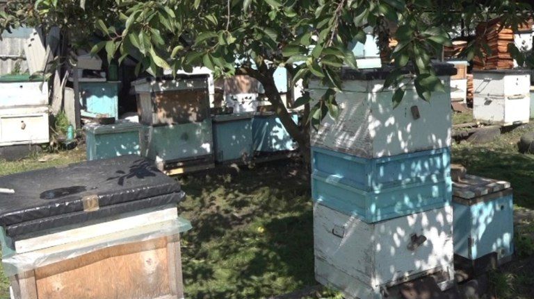 ���������� ������������� ������ �������� ��������� ������