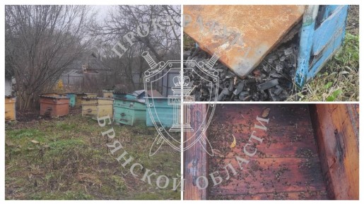 Прокуратура Рогнединского района направила в суд дело о поджоге пчелиных ульев