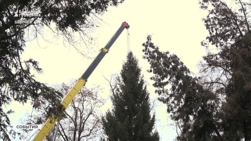 В сквере Карла Маркса в Брянске установили новогоднюю ёлку