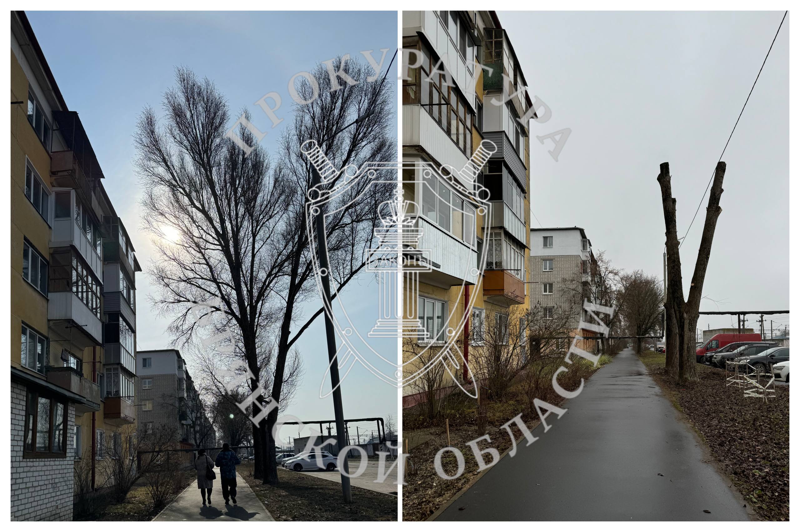 В Володарском районе устранена опасность от аварийных деревьев