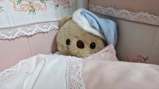 Жительницам Брянской области рассказали, какие выплаты можно получать при беременности