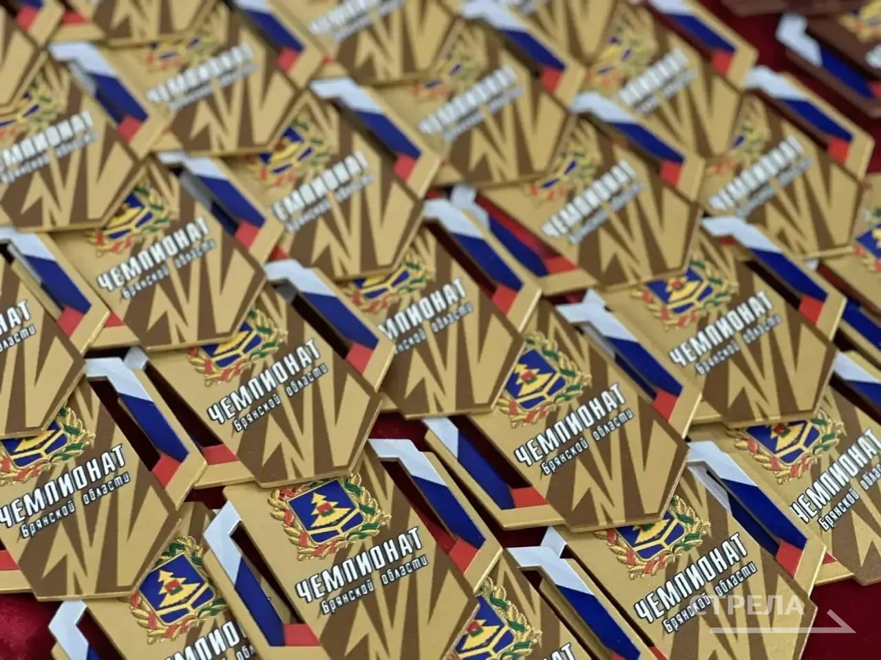 В Брянске прошла торжественная церемония открытия регионального турнира по армейскому рукопашному бою В Брянске прошла торжественная церемония открытия регионального турнира по армейскому рукопашному бою