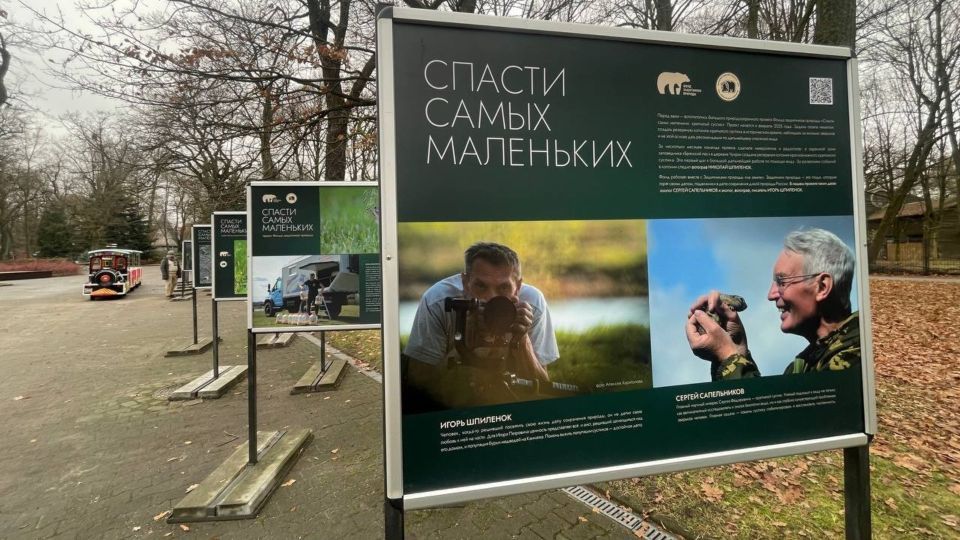 �������� ��������� ������� ����� ������� �������� � ������������