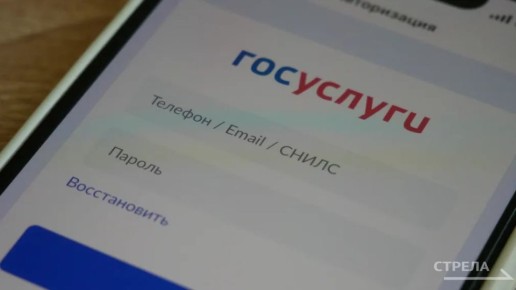 Владельцы квартир, частных домов, кладовых и машино-мест в Брянской области получили новый функционал в сервисе «Госуслуги. Дом»