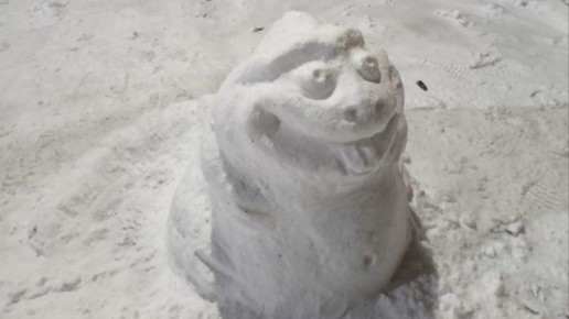 Стартовал «снежный бум»: брянцы массово вышли лепить снеговиков