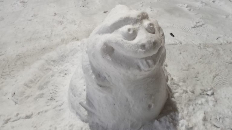 Стартовал «снежный бум»: брянцы массово вышли лепить снеговиков