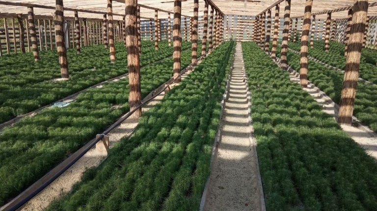 �������� �������� ��������� ����� 16 ��������� �������