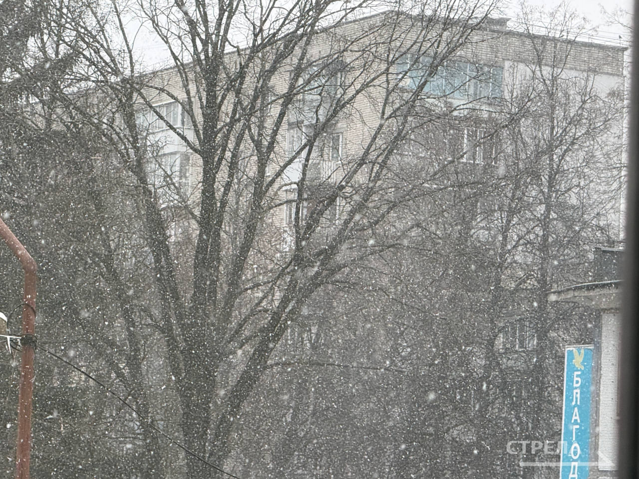 Как и прогнозировали синоптики, сегодня, 9 декабря, в Брянске выпал долгожданный снег