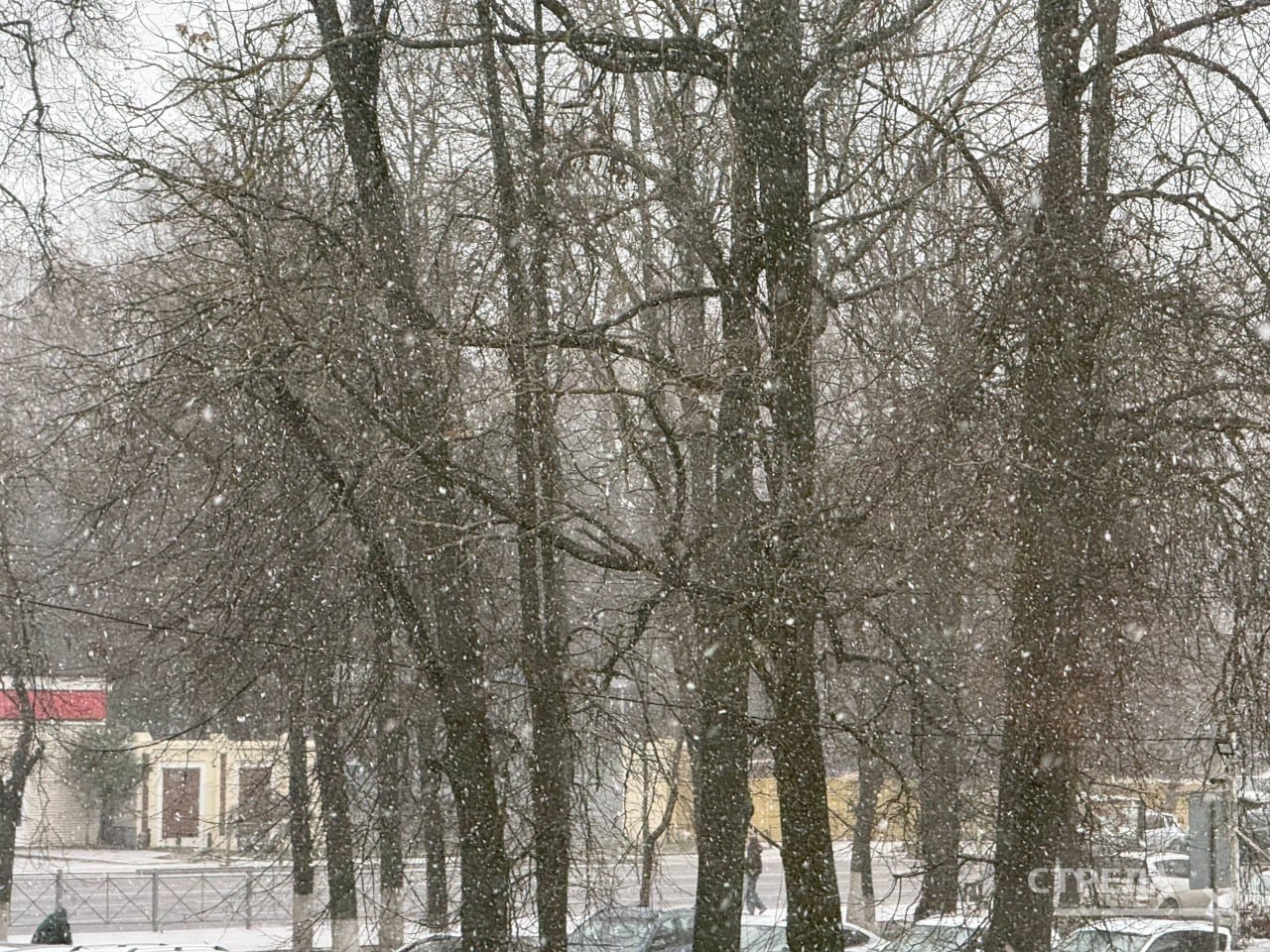 Как и прогнозировали синоптики, сегодня, 9 декабря, в Брянске выпал долгожданный снег Как и прогнозировали синоптики, сегодня, 9 декабря, в Брянске выпал долгожданный снег