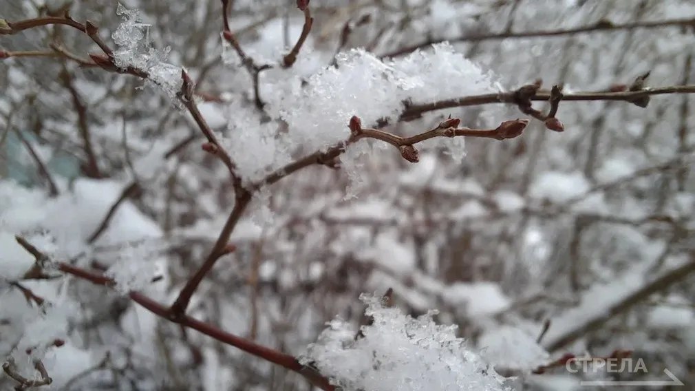 Завтра, 10 декабря, в Брянской области будет наблюдаться облачная погода