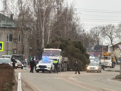 9 декабря 2025 года в нашем округе торжественно встречали главную новогоднюю ель